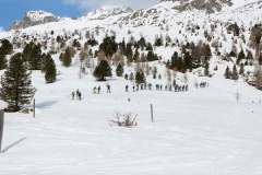 Oberseetrophy_2026-03-01-047