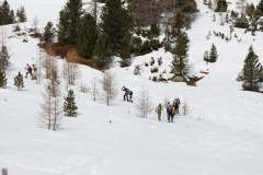 Oberseetrophy_2026-03-01-051