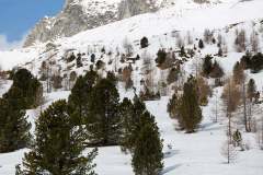 Oberseetrophy_2026-03-01-052