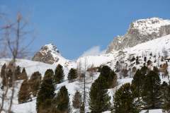 Oberseetrophy_2026-03-01-053