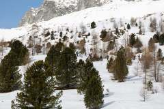 Oberseetrophy_2026-03-01-054