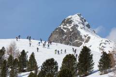 Oberseetrophy_2026-03-01-055