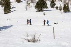 Oberseetrophy_2026-03-01-067