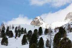 Oberseetrophy_2026-03-01-121