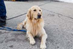 Oberseetrophy_2026-03-01-254